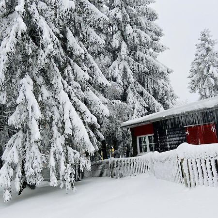 Baude Steinheid Am Rennsteig Mit 12 Betten エクステリア 写真